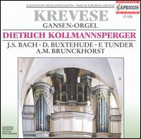 Krevese Gansen-Orgel von Dietrich Kollmannsperger