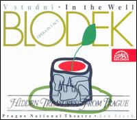 Vilém Blodek: V studni (In The Well) von Jan Stych