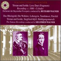 Wagner Conducts Wagner: Tristan Und Isolde/Das Rheingold/Die Walküre, Etc. von Various Artists