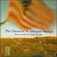 The Character of American Sunlight von Jerome Kitzke