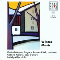 Winter Music von Jaroslav Krcek