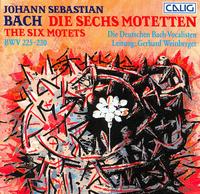 Bach: The Six Motets, BWV 275-230 von Deutschen Bach-Vocalisten