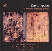 David Felder: A Pressure Triggering Dreams von Various Artists