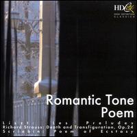 Romantic Tone Poem von Various Artists