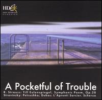 A Pocketful of Trouble von Various Artists