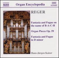 Reger: Organ Works, Vol. 3 von Hans-Jürgen Kaiser