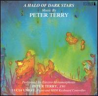 A Halo of Dark Stars von Pete Terry