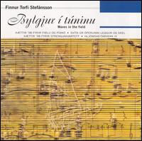 Finnur Torfi Stefánsson: Bylgjur í túninu - Waves in the field von Various Artists