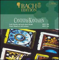 Bach Edition: Cantatas, BWV 198 & 110 von Pieter Jan Leusink