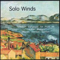 Solo Winds von Cyberchambermusic