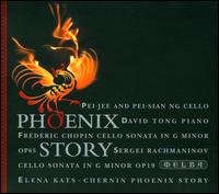 Phoenix Story von Various Artists