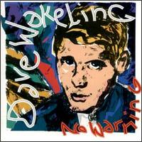 No Warning von Dave Wakeling