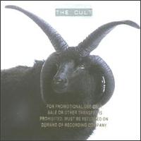 Cult von The Cult