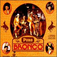 Puro Bronco von Bronco