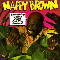 Something Gonna Jump out the Bushes von Nappy Brown