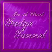 In a Word von Fudge Tunnel