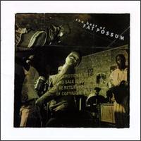 Mucho Mojo: Best of Fat Possum von Various Artists