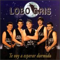 Te Voy a Esperar Dormido von Lobo Gris