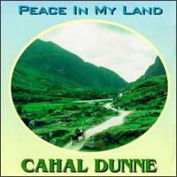 Peace in My Land von Cahal Dunne