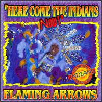 Here Come the Indians Now von Flaming Arrows