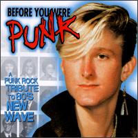 Before You Were Punk [1997] von Various Artists