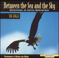 Between the Sea an the Sky: The Eagle von Environmental Effects