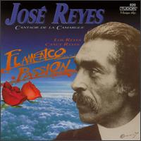 Cantaor De La Camargue von Jose Reyes