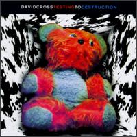 Testing to Destruction von David Cross