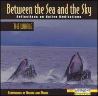 Between the Sea & the Sky: The Whale von Environmental Effects