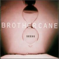 Seeds von Brother Cane