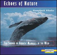 Echoes of Nature: Humpback Whales von Echoes Of Nature