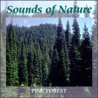 Sounds of Nature: Pine Forest [Tranquil Moods] von Virtual Audio Environments