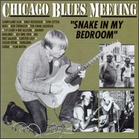 Snake In My Room von Chicago Blues Meeting