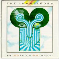 What Does Anything Mean? Basically von The Chameleons UK