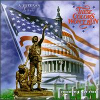 These Colors Won't Run: A Veteran Tribute von Compilation 14 Artists