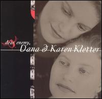 Dear Enemy von Dana Kletter