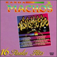 16 Hits von Banda Machos