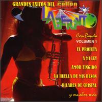 Grandes Exitos Del Grupo Laberinto, Vol. 1 von Grupo Laberinto