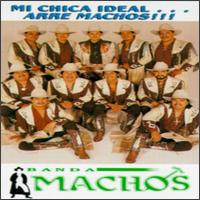 Mi Chica Ideal von Banda Machos