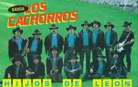 Hijos De Leon von Banda Cachorros