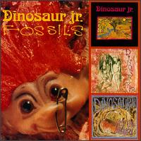 Fossils von Dinosaur Jr.