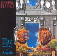 Biro: The Comparative Anatomy of Angels von Daniel Biro