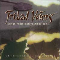 Tribal Voices: Music from Native Americans von Various Artists