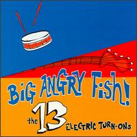 Thirteen Electric Turn-Ons von Big Angry Fish