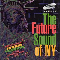 Future Sound of New York von Various Artists