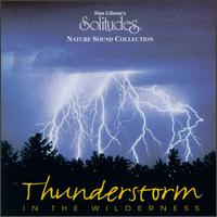 Solitudes: Thunderstorm in the Wilderness von Dan Gibson