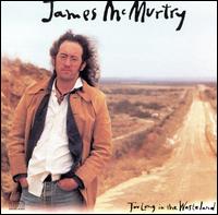 Too Long in the Wasteland von James McMurtry