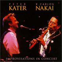 Improvisations in Concert von Peter Kater