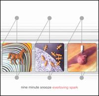 Everloving Spark von Nine Minute Snooze