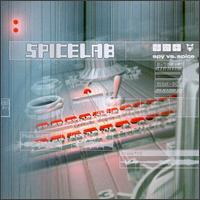 Spy Vs. Spice von Spicelab